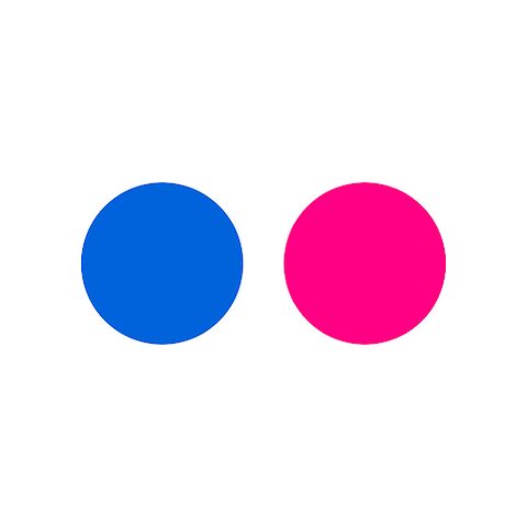 Logo Flickr